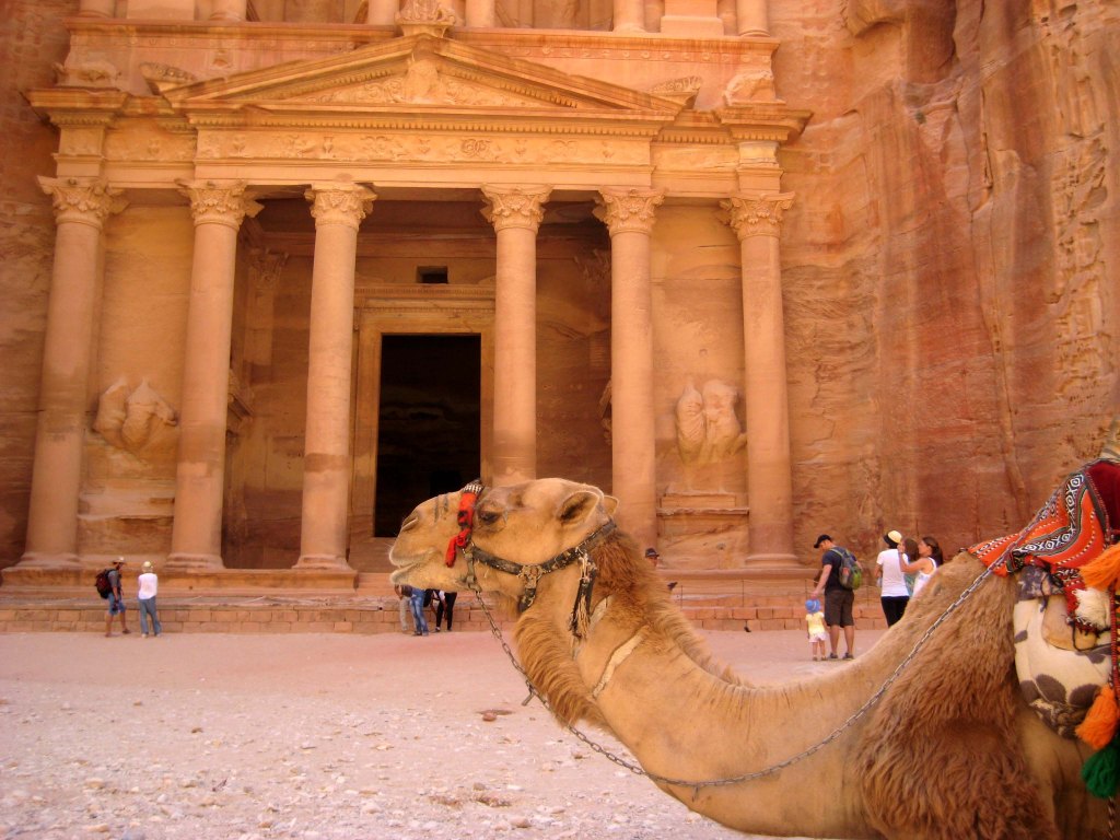 camel in front of the treasury in Petra