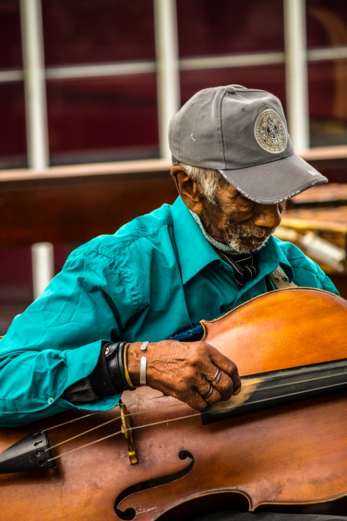 Cape Town Musicians