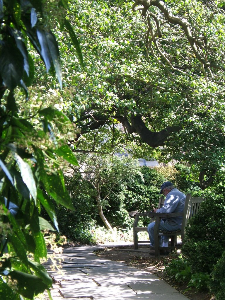 Garden of the national cathedral