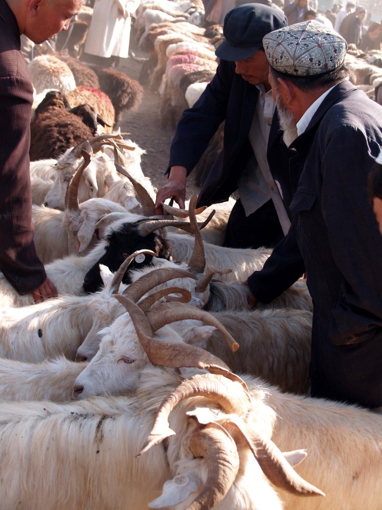 kashgar-animal-market