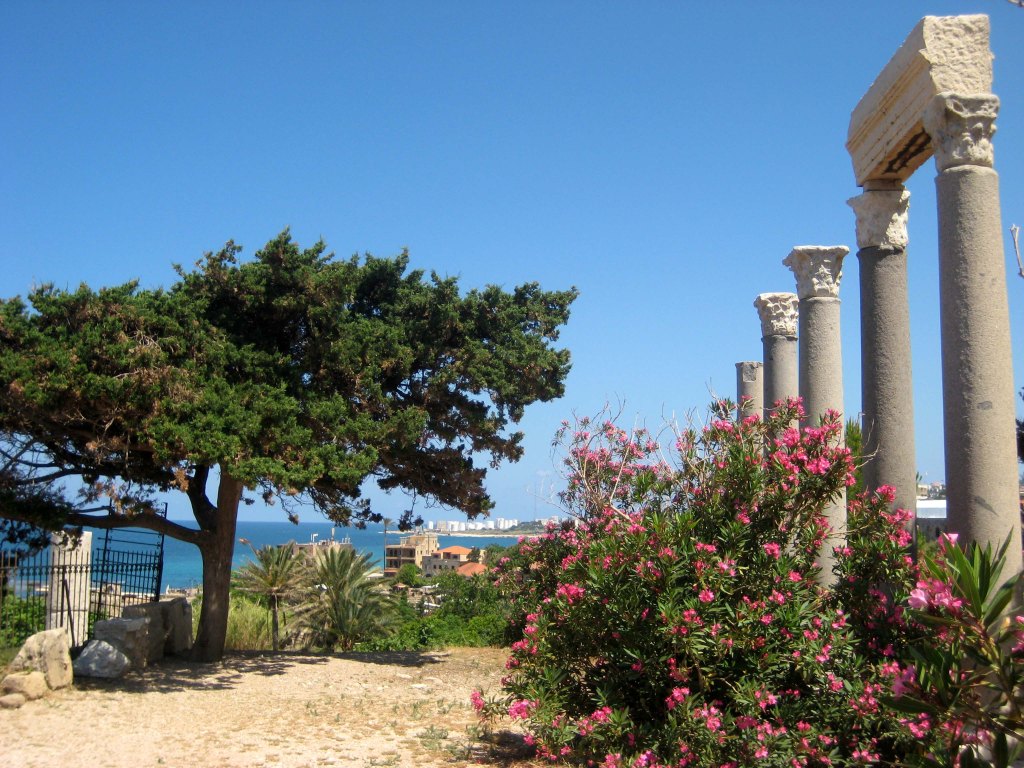 Roman Columns in Byblos