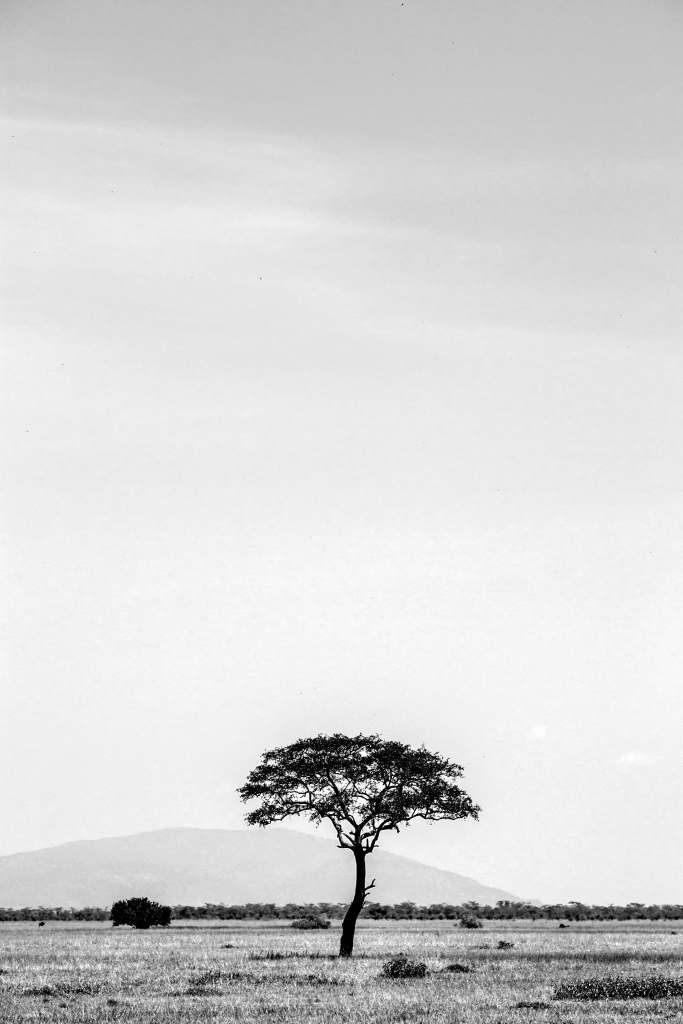Serengeti_
