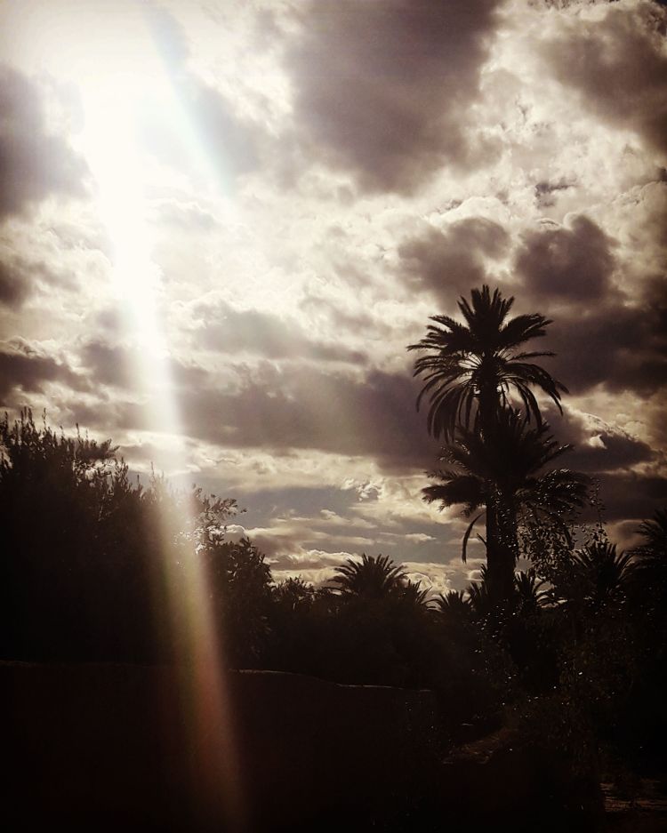 Skoura Palm Grove Morocco_