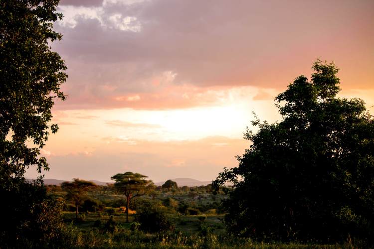 Tarangire National Park Sunset_