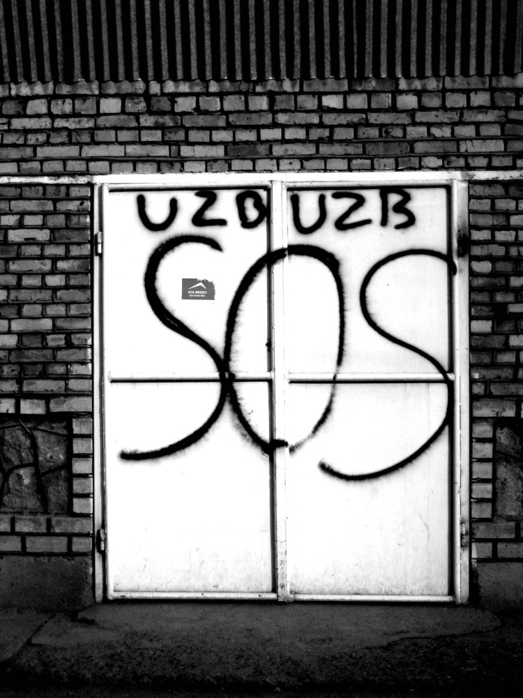 Uzbek Door after the ethnic riots 2010